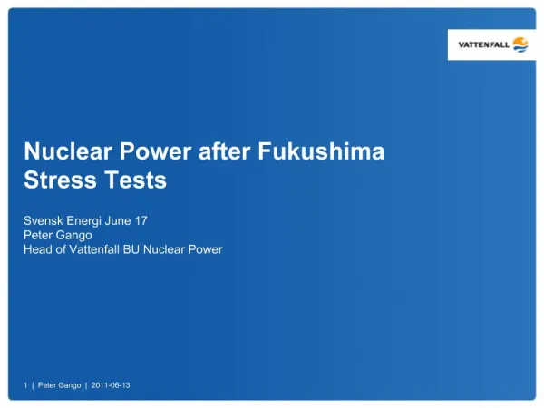 Nuclear Power after Fukushima Stress Tests