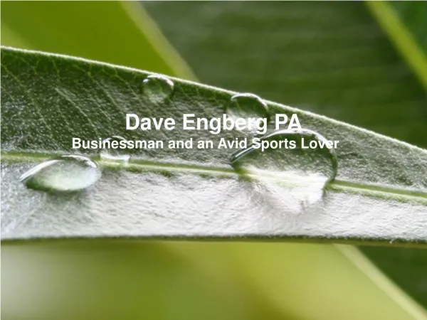 Dave Engberg PA is a Businessman and an Avid Sports Lover