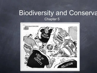 Biodiversity and Conservation - slide 1