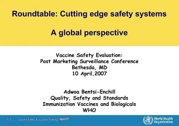 Roundtable: Cutting edge safety systems A global perspective