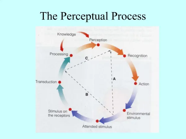 The Perceptual Process