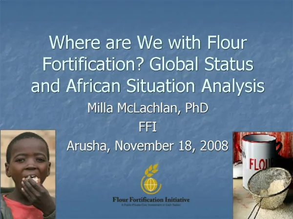 Where are We with Flour Fortification Global Status and African Situation Analysis