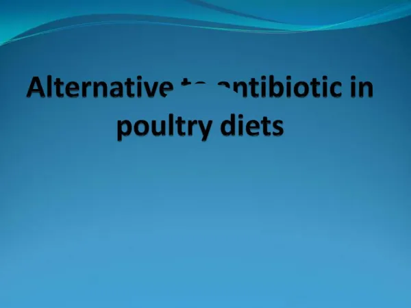Alternative to antibiotic in poultry diets