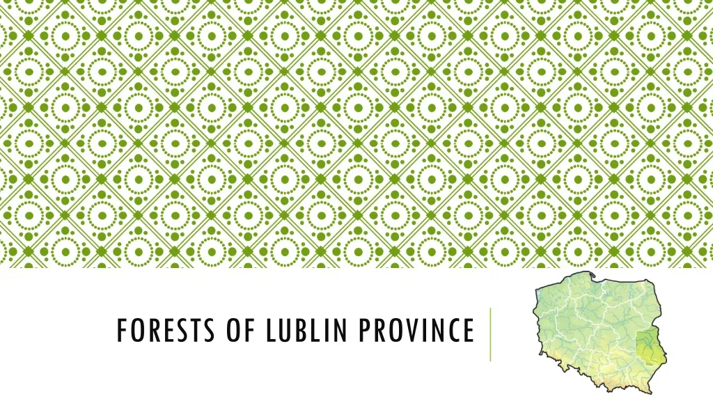 forests of lublin province