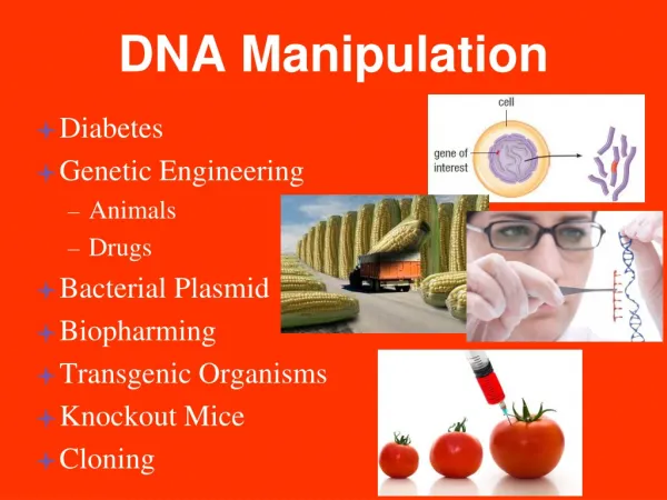 DNA Manipulation