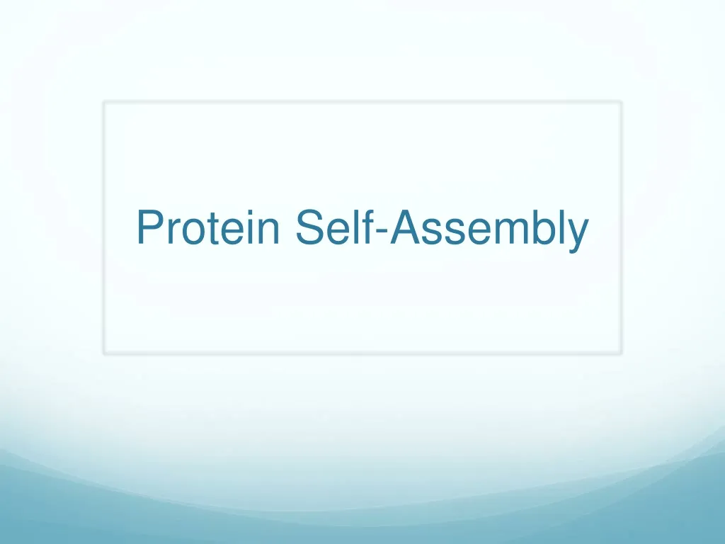 protein self assembly
