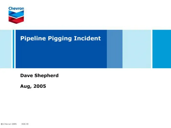 Pipeline Pigging Incident