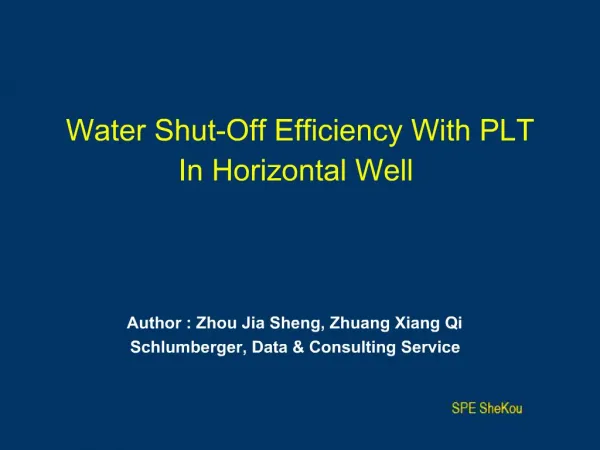 Water Shut-Off Efficiency With PLT In Horizontal Well