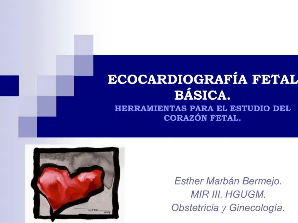 ECOCARDIOGRAF A FETAL B SICA. HERRAMIENTAS PARA EL ESTUDIO DEL CORAZ N FETAL.