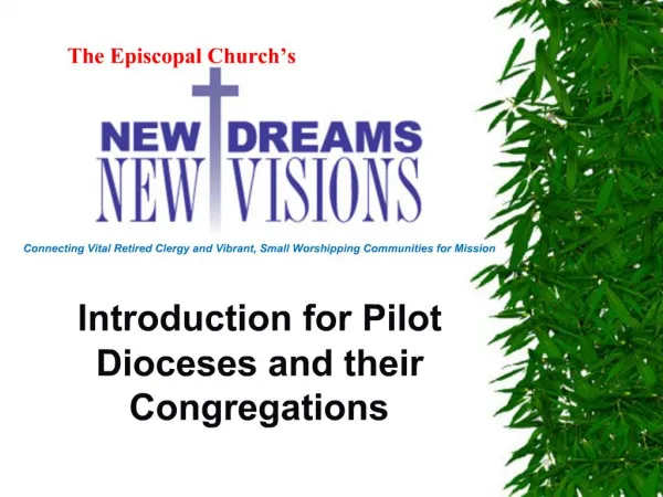 Connecting Vital Retired Clergy and Vibrant, Small Worshipping Communities for Mission Introduction for Pilot Dioceses