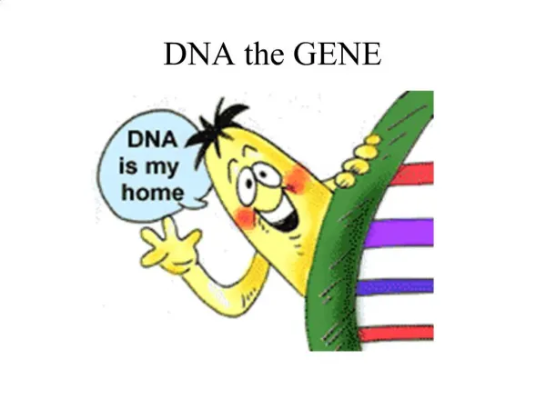 DNA the GENE