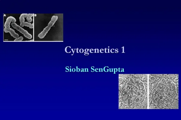 Cytogenetics 1 Sioban SenGupta