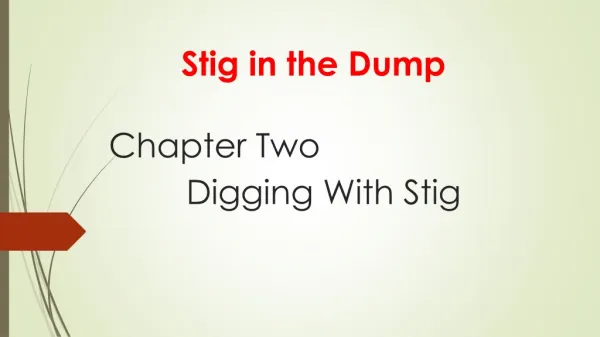 Stig in the Dump