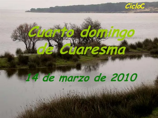 Ciclo C