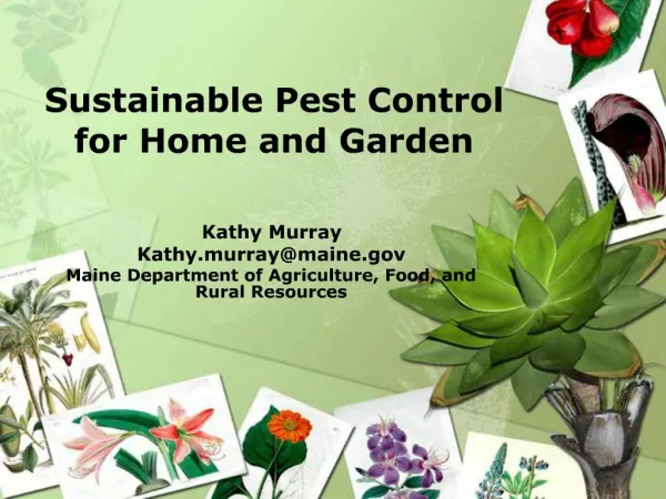 Sustainable Pest Control for Home and Garden