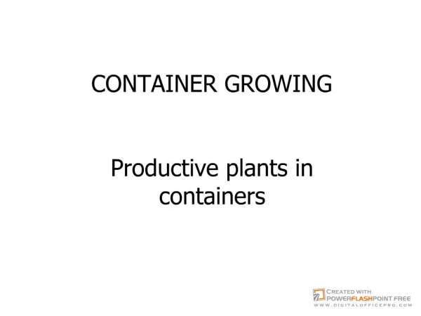 081027container gardening III