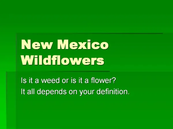 New Mexico Wildflowers