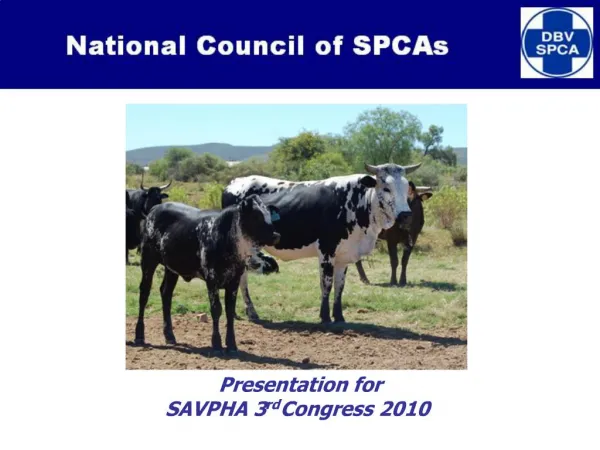 Presentation for SAVPHA 3rd Congress 2010