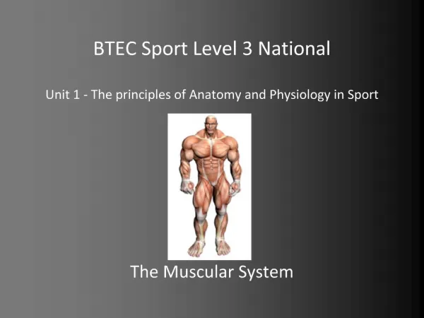 BTEC Sport Level 3 National Unit 1 - The principles of Anatomy and Physiology in Sport