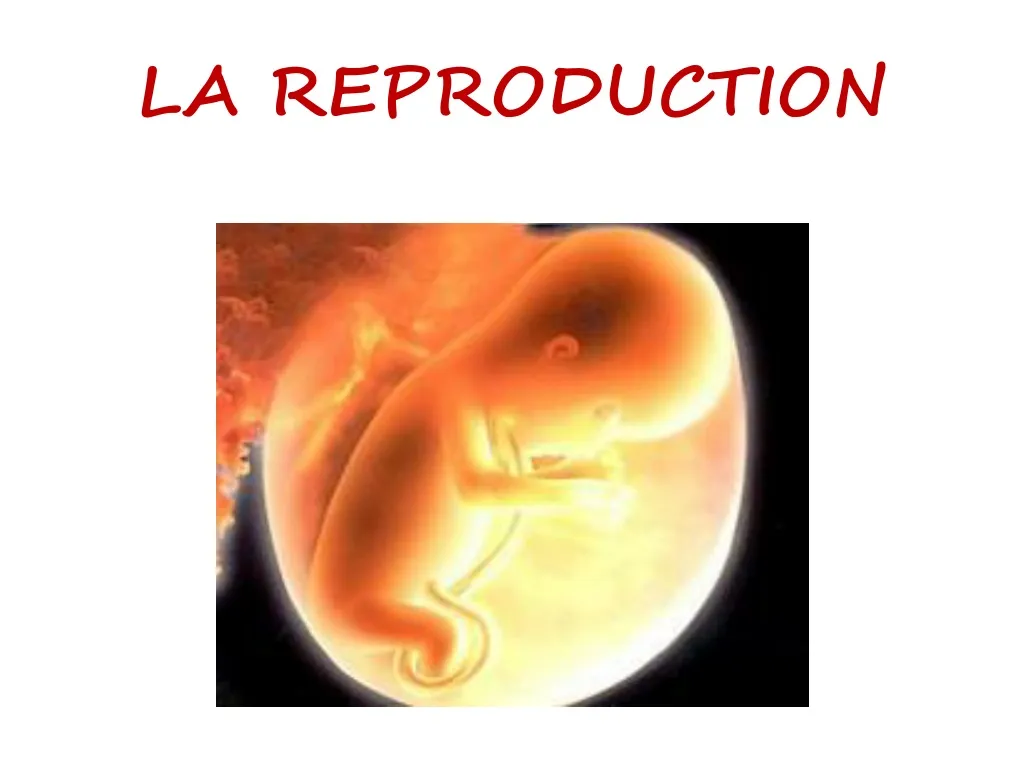 la reproduction