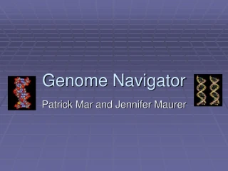 Genome Navigator