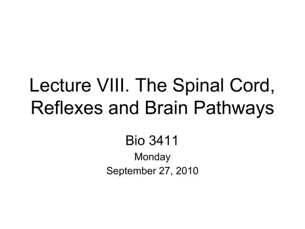 Lecture VIII. The Spinal Cord, Reflexes and Brain Pathways