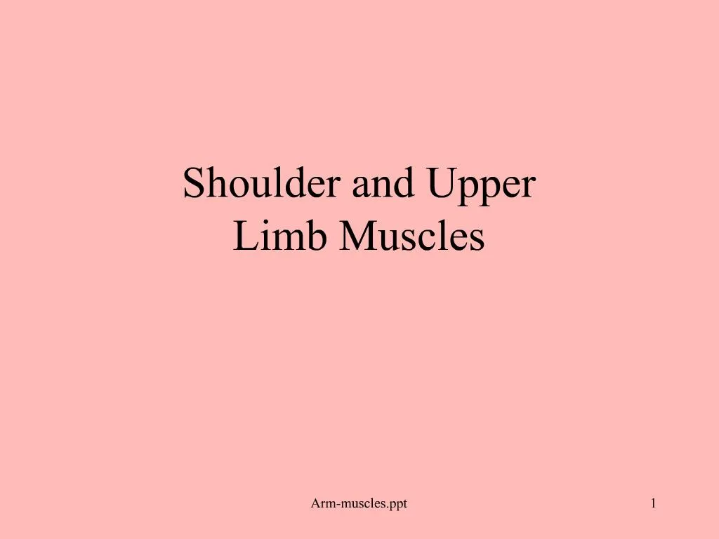 The Pectoral Girdle and Upper Limb - ppt download