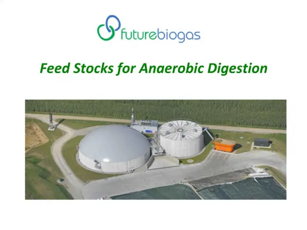 Feed Stocks for Anaerobic Digestion