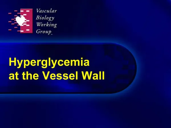 Hyperglycemia at the Vessel Wall