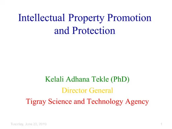 Intellectual Property Promotion and Protection