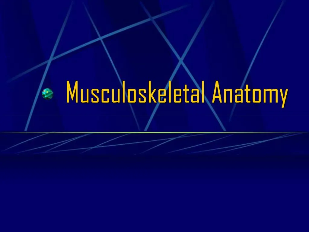 PPT - Musculoskeletal Anatomy PowerPoint Presentation, Free Download ...