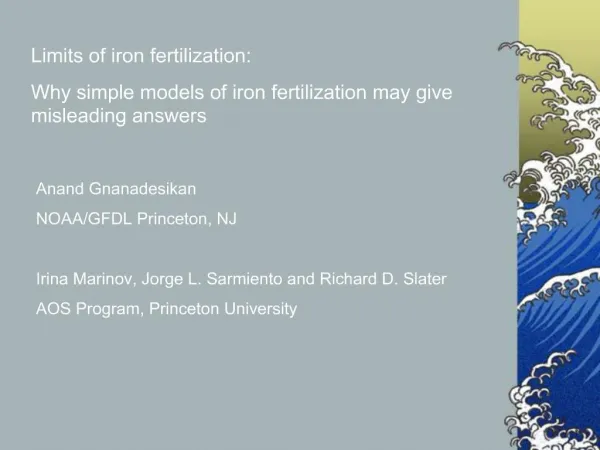 Limits of iron fertilization: Why simple models of iron fertilization may give misleading answers