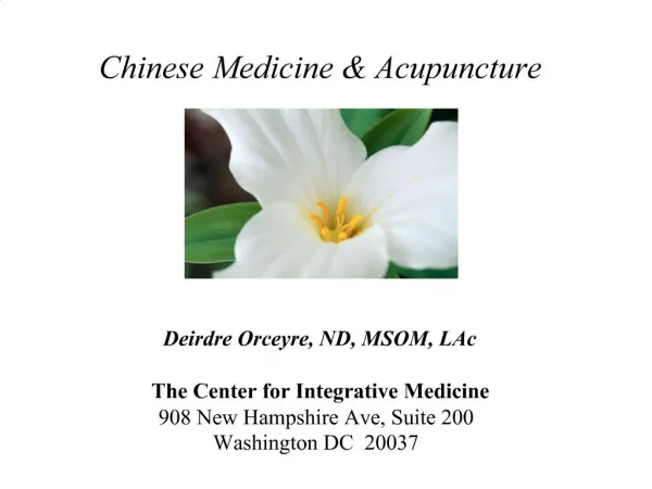 Chinese Medicine Acupuncture