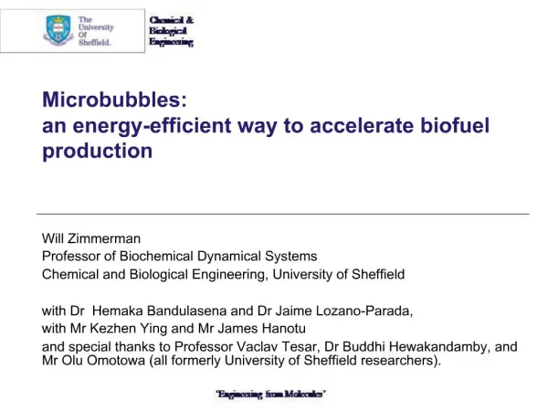 Microbubbles: an energy-efficient way to accelerate biofuel production