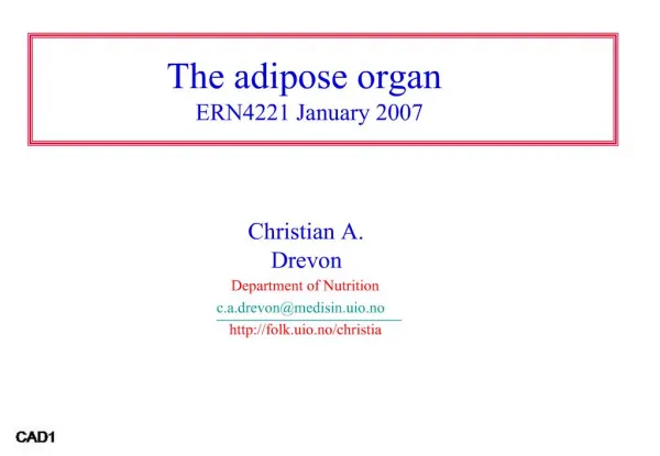 The adipose organ ERN4221 January 2007