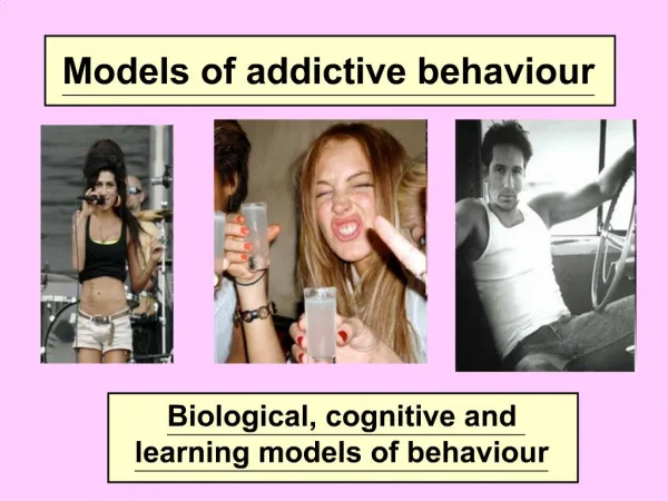 Models of addictive behaviour