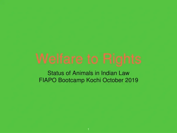Welfare to Rights