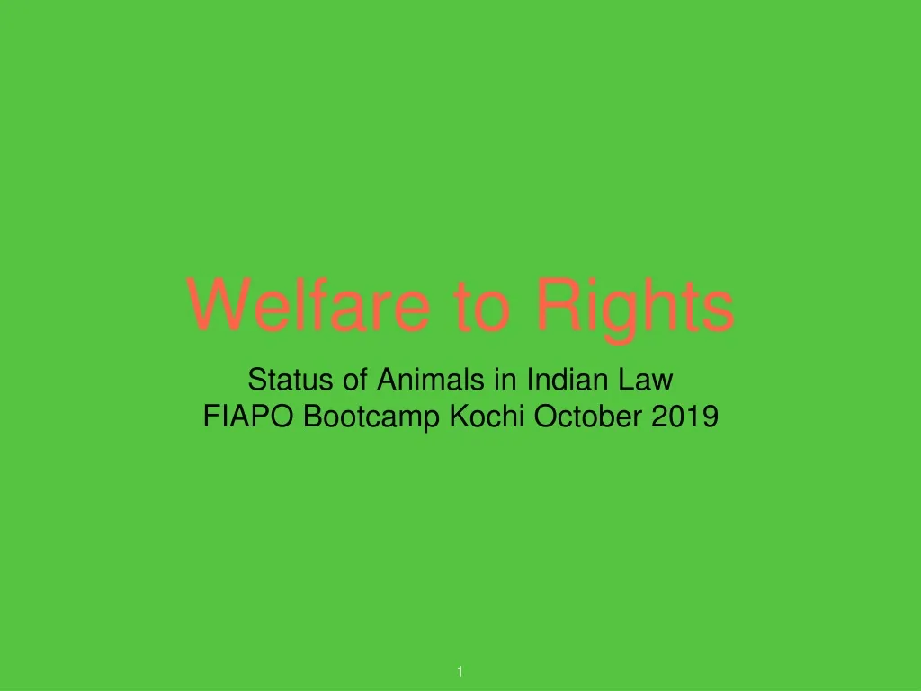 welfare to rights