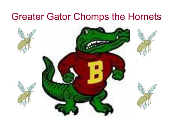 Greater Gator Chomps the Hornets