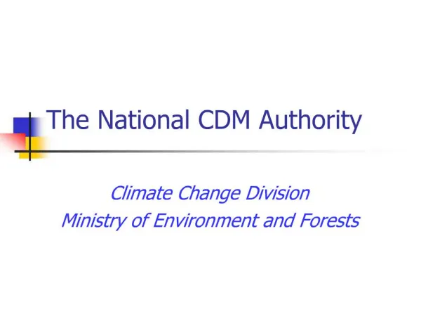 The National CDM Authority