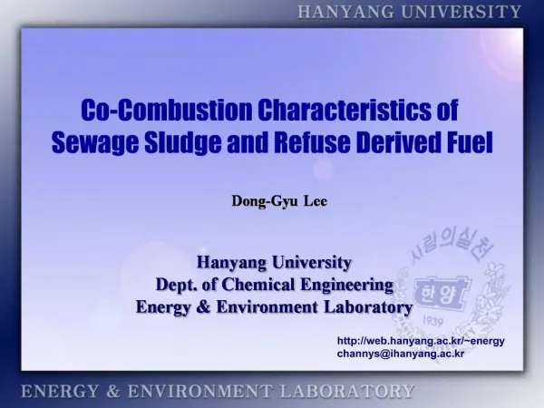 Co-Combustion Characteristics of Sewage Sludge and Refuse Derived Fuel