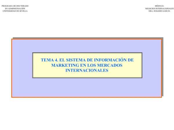 TEMA 4. EL SISTEMA DE INFORMACI N DE MARKETING EN LOS MERCADOS INTERNACIONALES