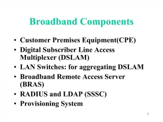 Broadband Components - slide 1