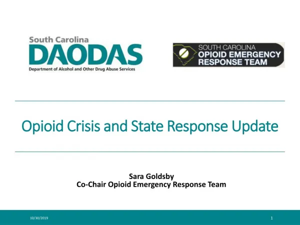 Opioid Crisis and State Response Update