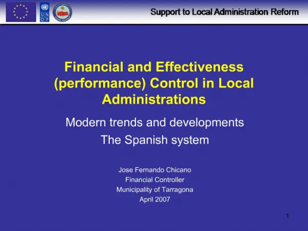 Financial and Effectiveness performance Control in Local Administrations