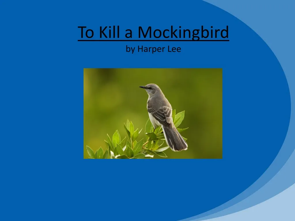 to kill a mockingbird by harper lee