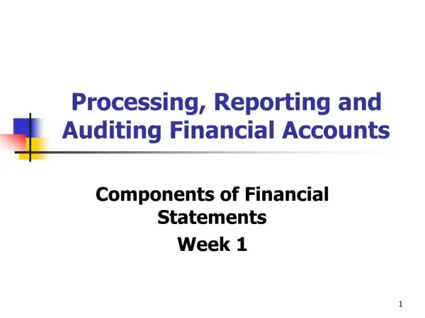 Processing, Reporting and Auditing Financial Accounts