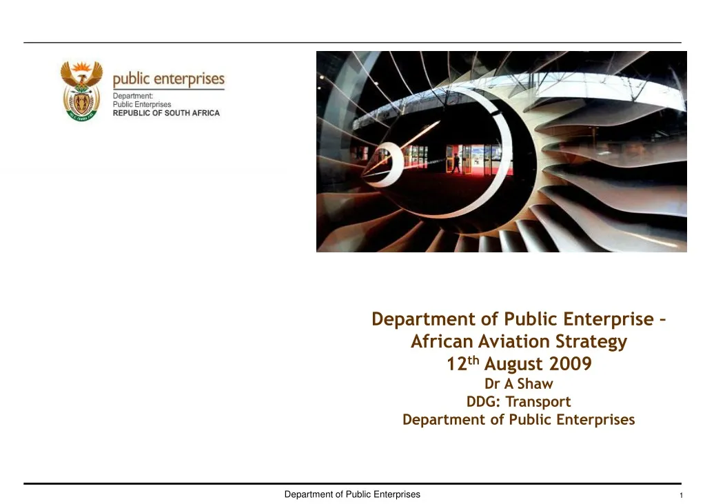 department of public enterprise african aviation