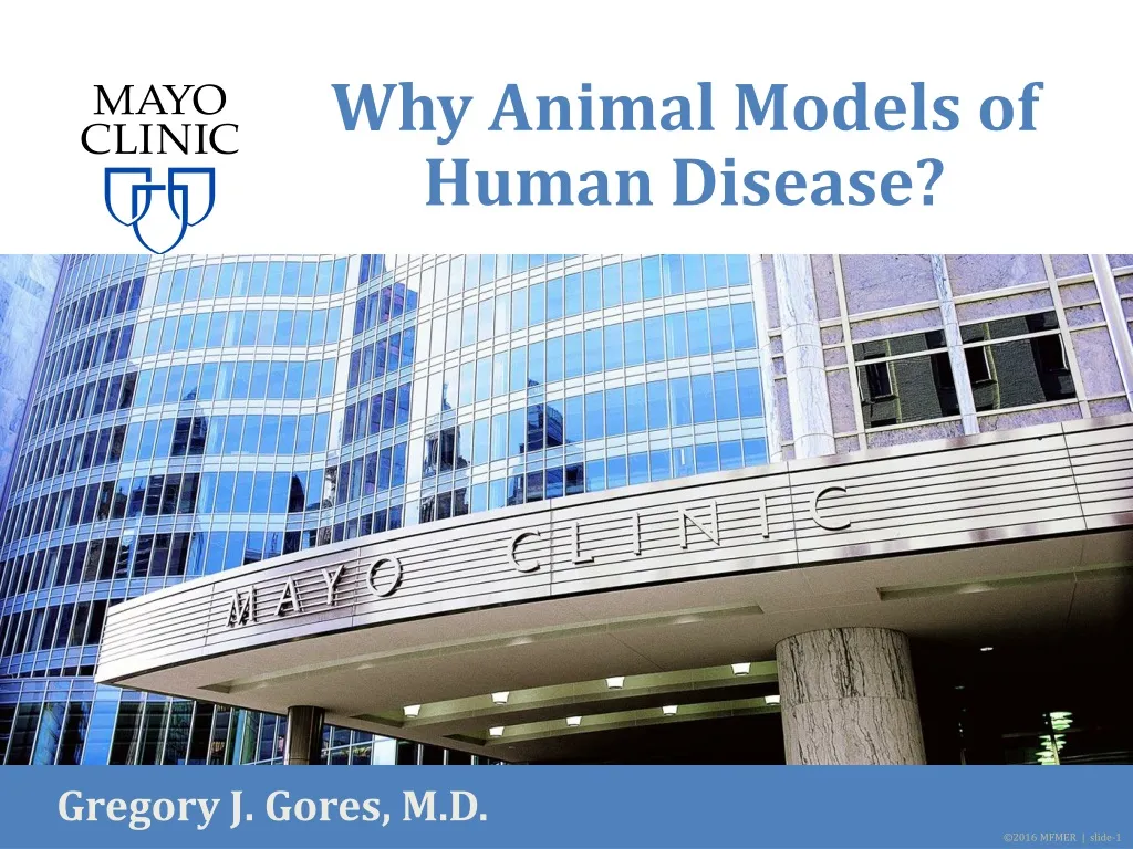 why animal models of human disease