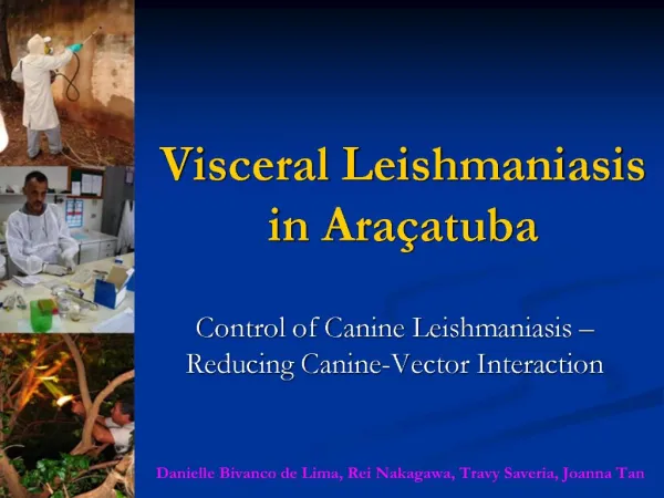 Visceral Leishmaniasis in Ara atuba